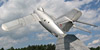 МиГ-17 8.06.2010